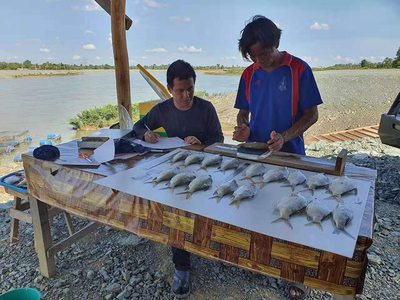 東薩宏項目湄公河魚類調查.jpg